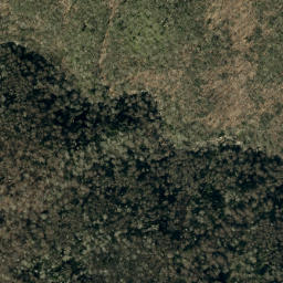 Satellite imagery of Buncombe Horse Range Ridge, US