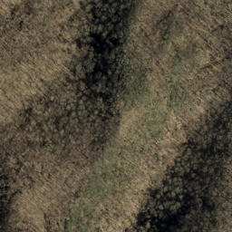 Satellite imagery of Little Fork Ridge, US