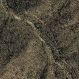 Satellite imagery of Little Fork Ridge, US