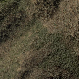 Satellite imagery of Big Fork Ridge, US