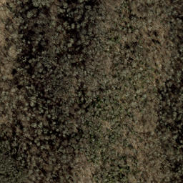 Satellite imagery of Big Fork Ridge, US