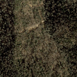 Satellite imagery of Big Fork Ridge, US