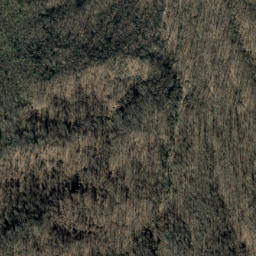 Satellite imagery of Poplar Ridge, US