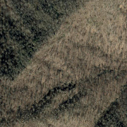 Satellite imagery of Poplar Ridge, US