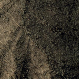 Satellite imagery of Little Fork Ridge, US