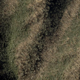 Satellite imagery of Little Fork Ridge, US