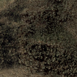 Satellite imagery of Big Fork Ridge, US