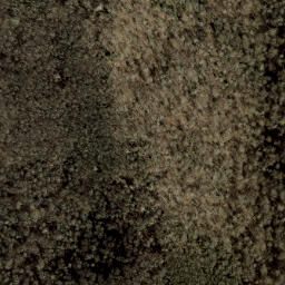 Satellite imagery of Big Fork Ridge, US