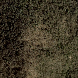 Satellite imagery of Big Fork Ridge, US