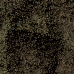 Satellite imagery of Sprucepine Ridge, US