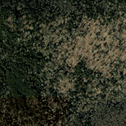 Satellite imagery of Cherry Log Ridge, US