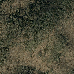 Satellite imagery of Cherry Log Ridge, US