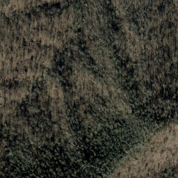 Satellite imagery of Poplar Ridge, US