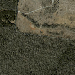 Satellite imagery of Cedar Ridge, US