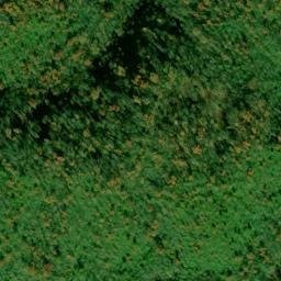 Satellite imagery of Blazed Pine Ridge, US