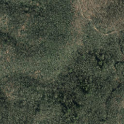 Satellite imagery of Wading Branch Ridge, US