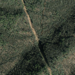 Satellite imagery of Wading Branch Ridge, US