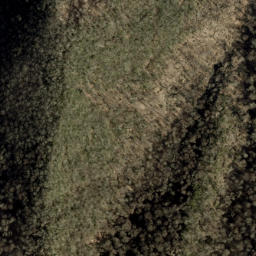 Satellite imagery of Little Fork Ridge, US