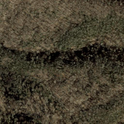 Satellite imagery of Big Fork Ridge, US