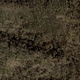 Satellite imagery of Big Fork Ridge, US