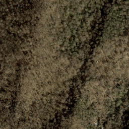 Satellite imagery of Big Fork Ridge, US