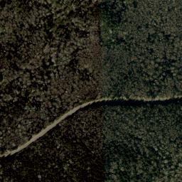 Satellite imagery of Cherry Log Ridge, US