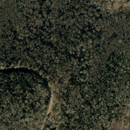 Satellite imagery of Cherry Log Ridge, US