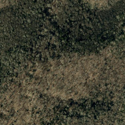 Satellite imagery of Cherry Log Ridge, US
