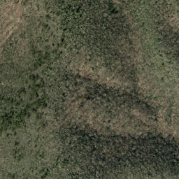 Satellite imagery of Big Fork Ridge, US
