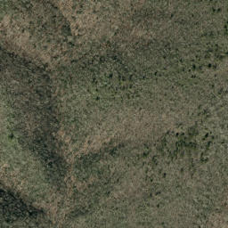 Satellite imagery of Big Fork Ridge, US
