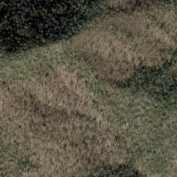 Satellite imagery of Poplar Ridge, US