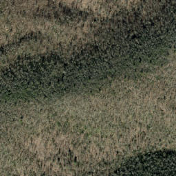 Satellite imagery of Poplar Ridge, US