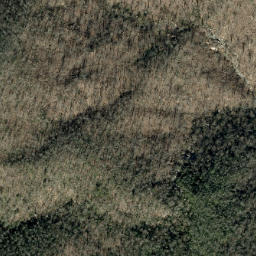Satellite imagery of Poplar Ridge, US