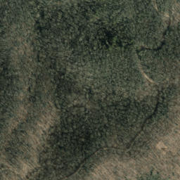 Satellite imagery of Wading Branch Ridge, US