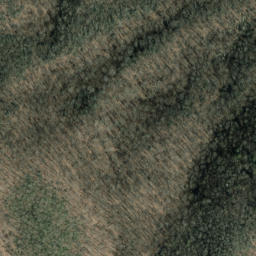 Satellite imagery of Wading Branch Ridge, US