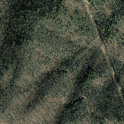 Satellite imagery of Wading Branch Ridge, US