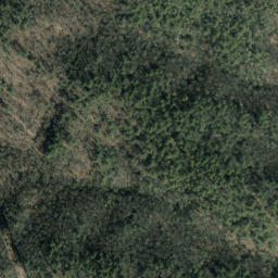 Satellite imagery of Slim Ridge, US