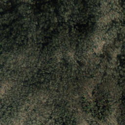 Satellite imagery of Coffee Ridge, US