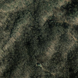 Satellite imagery of Coffee Ridge, US