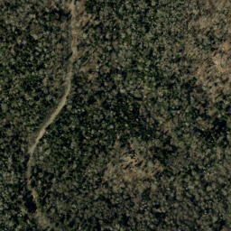 Satellite imagery of Cherry Log Ridge, US