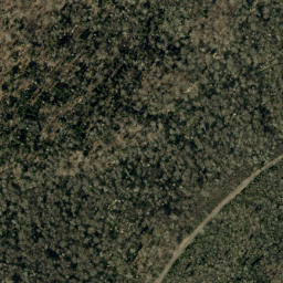 Satellite imagery of Cherry Log Ridge, US
