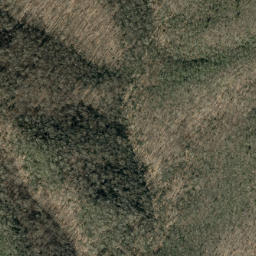 Satellite imagery of Big Fork Ridge, US