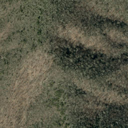 Satellite imagery of Big Fork Ridge, US
