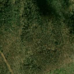 Satellite imagery of Chinquapin Ridge, US