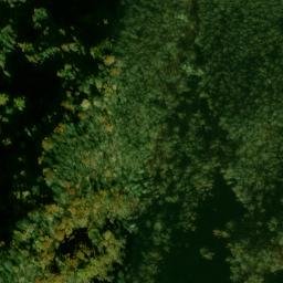 Satellite imagery of Bald Top Ridge, US
