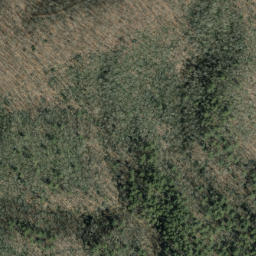 Satellite imagery of Wading Branch Ridge, US
