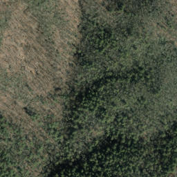 Satellite imagery of Wading Branch Ridge, US