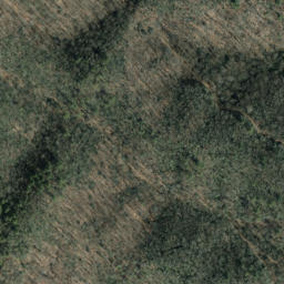 Satellite imagery of Wading Branch Ridge, US