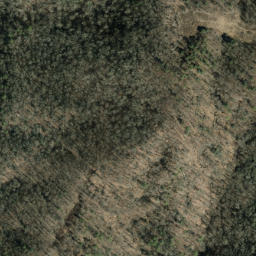 Satellite imagery of Coffee Ridge, US