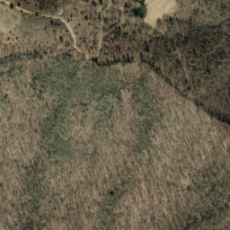Satellite imagery of Robinson Rough, US